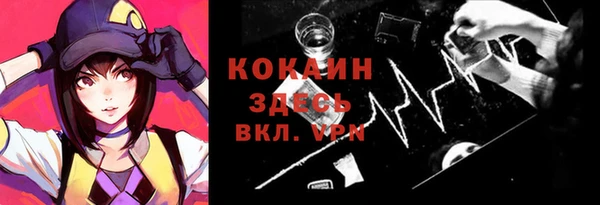 СК Каменка