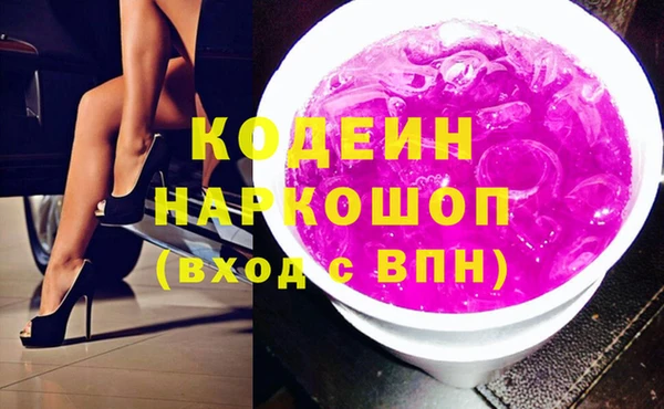 СК Каменка